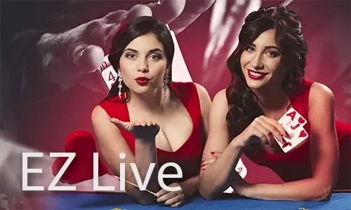 High-Stakes Live Casino